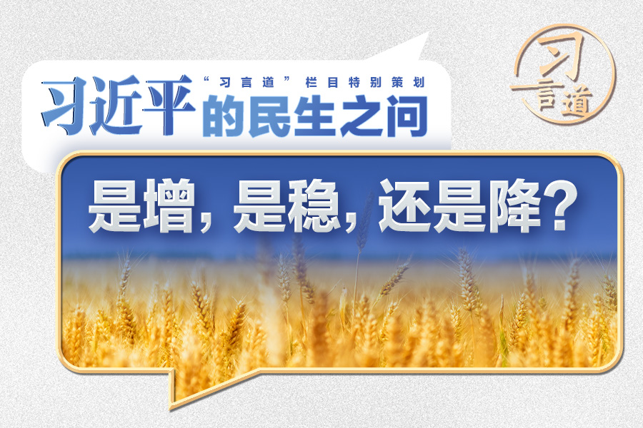 習(xí)近平的民生之問｜“是增，是穩(wěn)，還是降？”